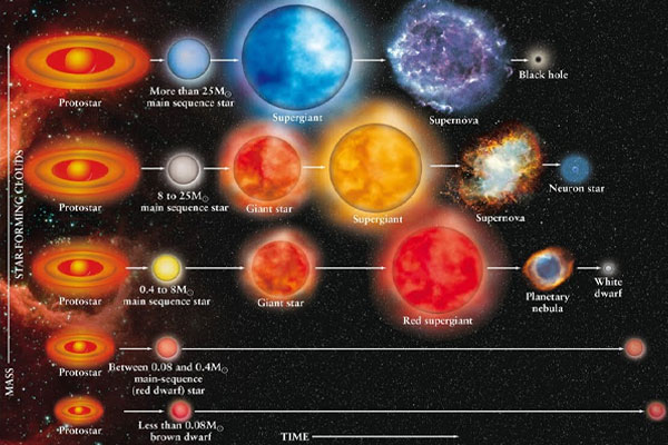 Stellar Evolution